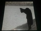 Chelsea Wolfe The Grime and the Glow LP on Grey & Black vinyl + Download code