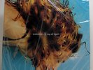 Madonna ?– Ray Of Light SEALED 1st Press 1998 Germany EP Tori AMos Kate Bush
