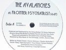 Avalanches - Frontier Psychiatrist BREAKS 12