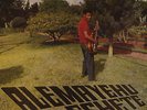 Various - Alemayehu Eshete - Vinyl Roots/Folk/World