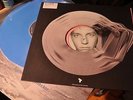 14x dj vinyl 12