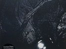 Cocteau Twins ?- The Pink Opaque Compilation LP - 180 Gram Vinyl - Wax And Wane