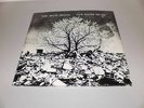 THE BEVIS FROND - NEW RIVER HEAD -2 LP- GATEFOLD - MINT
