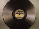 PRE WAR BLUES 78 RPM Texas Alexander Vocalion 02743 V+ Blues In My Mind