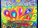 Original 1960's Heavy Acid Psych Rock LP: The Savage Resurrection Stereo 1st VG+