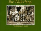 THE WATERBOYS FISHERMANS BLUES NEW SEALED 180G VINYL LP IN STOCK