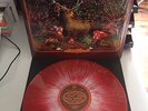 SNAIL- Feral LP Splatter Vinyl Small Stone Greenleaf Dozer Larman Clamor Wo Fat