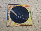 Pink Floyd - The Dark Side Of The Moon (Original USA Picture Disc,record)
