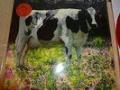 PINK FLOYD   KQED   LULUBELLE III RED VINYL 100 COPIES MINT MINUS