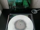 If these Trees could talk - Above The Earth.. 1PRESS White w/ grey haze ltd.100