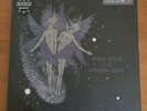Avey Tare & Panda Bear - Spirit They've Gone... Vinyl, DMM, Animal Collective