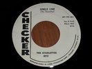 RARE NM1958 STARLETTES 45 RPM Promo JUNGLE LOVE PLEASE RING MY PHONE CHECKER 895