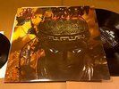 THE OPEN MIND acme lp S/T limited bonus 7