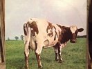 PINK FLOYD ATOM HEART MOTHER OZ QUADRAPHONIC VINYL LP RECORD