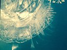 Cocteau Twins TREASURE 4AD 1984 Mint- Original Import LP