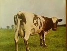 Pink Floyd Atom Heart Mother Gatefold album 1st Press Harvest Label excellent co