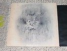 John Carpenter The Fog Original Soundtrack Splatter Vinyl LP Record Death Waltz