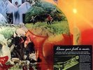 J.K. & CO. Suddenly One Summer LP NEW SEALED COLOR VINYL PSYCH GARAGE SUNDAZED