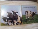 PINK FLOYD ATOM HEART MOTHER classic 1971 33rpm Canadian LP  gatefold   EX/EX