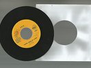 ADES: PLEASE, LEAVE ME ALONE/FEEL MY LOVE AGAIN RARO ITALY DEL 1978 CITY C 6045