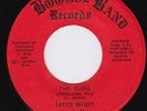 LARRY McGEE REVOLUTION The Burg RARE modern soul BOOGIE DISCO funk northern soul