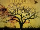 DOZER - beyond colossal
