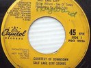BEACH BOYS Salt Lake City DOWNTOWN STORES PROMO ONLY Amusement Parks USA 45 e104
