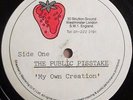 THE PUBLIC PISSTAKE - My Own Creation | Rare UNRELEASED UK punk 7