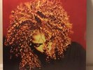JANET JACKSON - JANET THE VELVET ROPE 2x12