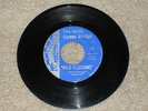 Ninth Street Bridge 45,Wild Illusions/Hey Boy/S-1968,Garage Rock, Rare