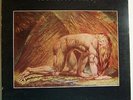 ATOMIC ROOSTER Death Walks Behind You - Original UK LP - Heavy Prog Andromeda