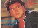 PATRICK SWAYZE       SHE´S LIKE THE WIND          STAY - Maurice Williams