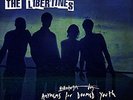 Anthems For Doomed Youth - LIBERTINES THE [LP]