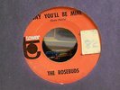 THE ROSEBUDS Say You'll Be Mine/Mama Said 45 TOWER RARE Northern