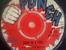 The Viceroys - Jump In A Fire / Give To Get  (Punch ?– PH 3 )
