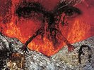 The Only Ones - even serpents shine