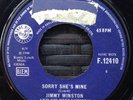 Jimmy Winston And His Reflections Sorry She's Mine Small Faces Rare Mod Soul 45