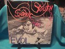 Sonic Youth EVOL 1st press SST 059 1986 LP orig TRUE 1st press  MINTY 