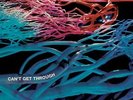 HAIRY CHAPTER-CANT GET THROUGH-VINYL LP BACILLUS NEW