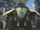 Swervedriver Mezcal Head LP 1993 UK Creation first pressing excellent condition