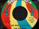 NORTHERN-THE MALIBUS-GEE BABY(I LOVE YOU)/WHATS THIS COMING-US SURE SHOT