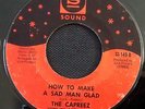 NORTHERN-THE CAPREEZ-HOW TO MAKE A SAD MAN GLAD/ITS GOOD TO BE HOME-US SOUND