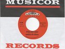 Barbara and Brenda- Never Love a Robin - Retro Repro DJ Collector -Northern Soul