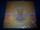 NEW Devendra Banhart What Will We Be Double Vinyl LP Record 2009 Sealed & RARE