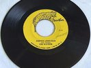 THE SLICKER - JOHNNY TOO BAD/ JOHNNY TOO BAD VERSION...PANTHER 7