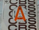 RARE FOLK FUZZ PSYCH 45 Juan and Junior To Girls/ Andurina CBS 1969 NM 