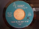 HOPE Here Do You Want To Go US 45 COULEE 1970 WIS. Xian PSYCH FUZZ