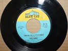 EVIE SANDS Take Me For A While RUN HOME TO YOUR MAMA Northern 45 on BLUE CAT 118