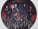 KISS   Smashes Thrashes & Hits   LP PICTURE DISC   No Reserve