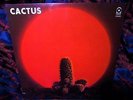 1970 SEALED Orig  CACTUS   1st LP Hard BOOGIE BLUES JAMS   VANILLA FUDGE McCARTY